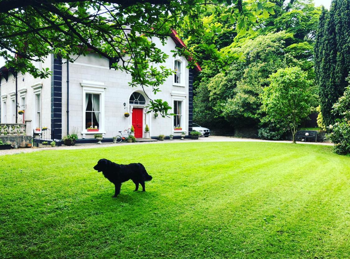 Fountain Hill House Villa Londonderry Exteriör bild